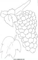 disegni_da_colorare_natura/frutta_frutti/frutta (3).JPG